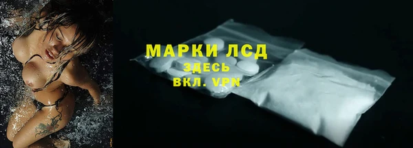 прущие грибы Сясьстрой