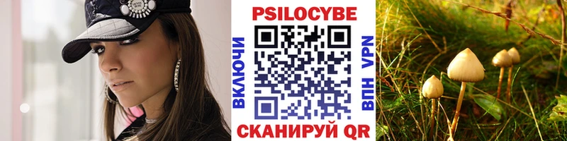 наркота  Каргополь  Псилоцибиновые грибы Cubensis 