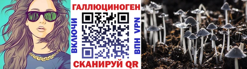 Галлюциногенные грибы ЛСД Каргополь